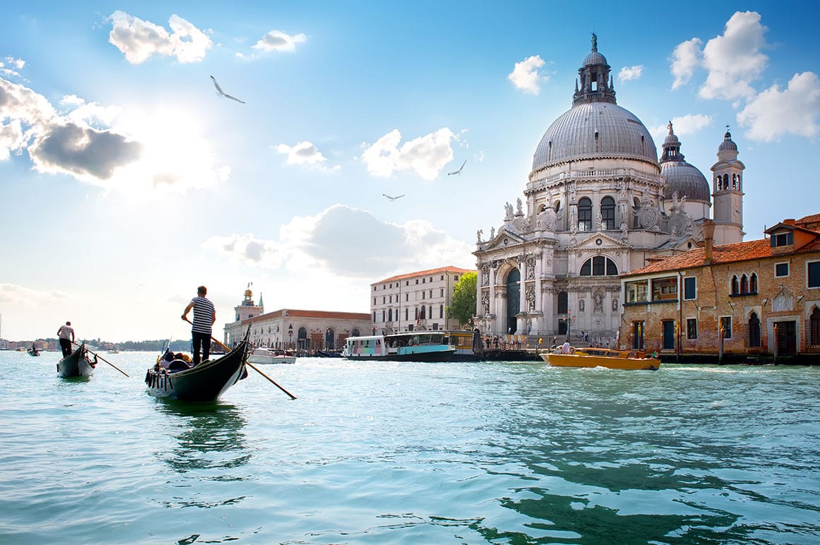 Chauffeur & Limousine Service Venice